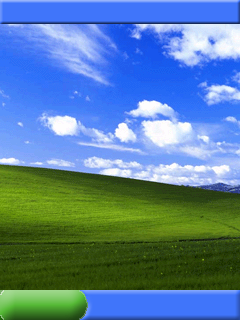 Windows Xp